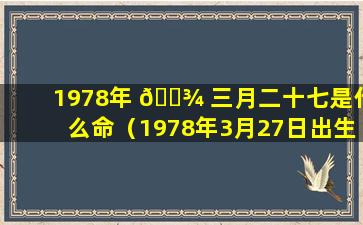 1978年 🌾 三月二十七是什么命（1978年3月27日出生的人什么 🌻 命运）